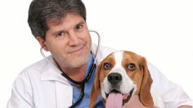 Mote Park Veterinary Surgery